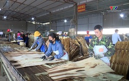 Xuất khẩu gỗ tăng trường nhưng đối mặt nhiều thách thức