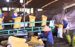 Đề xuất miễn 100% tiền thuê đất cho doanh nghiệp công nghệ cao 