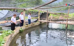 Sắc mới trên bản Xuân Sơn