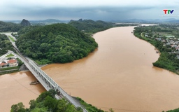 Những dòng sông kể chuyện
