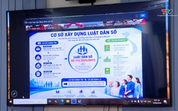 Phổ biến Luật Dân số và các chính sách mới về công tác dân số
