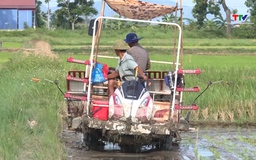 Các địa phương tập trung sản xuất vụ Mùa