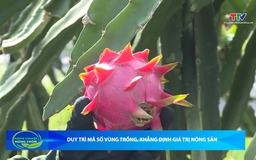 Bản tin Nông nghiệp - Nông thôn ngày 20/6/2026