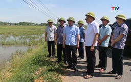 Đẩy nhanh tiến độ sản xuất vụ Thu Mùa
