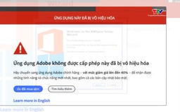 Nguy cơ vướng vòng lao lý do thuê cài đặt, sử dụng phần mềm lậu 