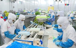 Doanh nghiệp xuất khẩu thủy sản đối mặt giá cước vận tải biển tăng cao