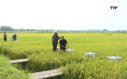Hơn 3.690 ha sản xuất nông nghiệp sạch đạt tiêu chuẩn an toàn thực phẩm
