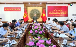 Triển khai đồng bộ các giải pháp nâng cao hiệu quả công tác nội chính