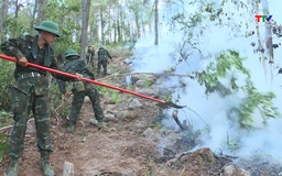 Nỗ lực khống chế cháy rừng tại phường Hải Bình