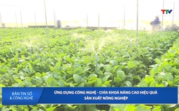 Bản tin Số và Công nghệ ngày 26/6/2026
