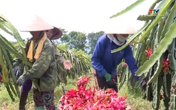 Việt Nam sắp gia nhập nhóm quốc gia nghìn tỷ USD