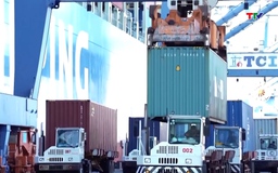 Doanh nghiệp ứng phó với tình trạng cước vận tải biển tăng cao