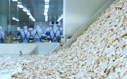 Xuất khẩu thủy sản Việt Nam tăng tốc, hướng tới mốc 12 tỷ USD