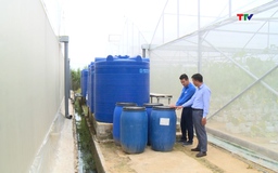 Tích cực ứng dụng khoa học - kỹ thuật trong trồng trọt