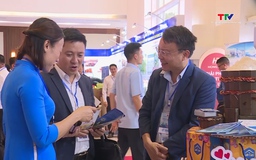 Tổng vốn đăng ký đầu tư vào Thanh Hóa tăng 36,6% so với cùng kỳ
