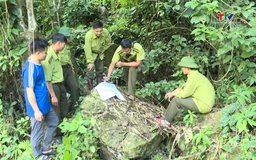 Chủ động phòng, chống cháy rừng trong cao điểm nắng nóng