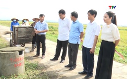 Chung tay bảo vệ môi trường đồng ruộng