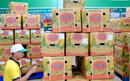 Thị trường Halal mở dư địa tăng trưởng cho hàng Việt