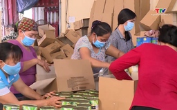 Xuất khẩu nông lâm thủy sản vượt 30 tỷ USD sau 5 tháng năm 2026 