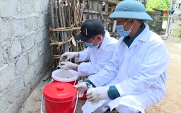Chủ động phòng, chống các bệnh nguy hiểm trên đàn vật nuôi