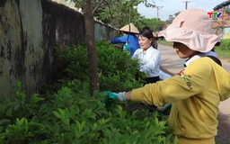 Xã Hà Long: Ra quân bảo vệ môi trường, xây dựng nông thôn mới