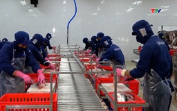 Kim ngạch xuất nhập khẩu 5 tháng tăng mạnh