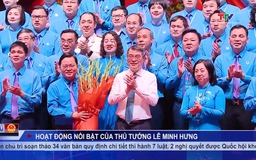 Bản tin Chính phủ tuần qua 08/06/2026
