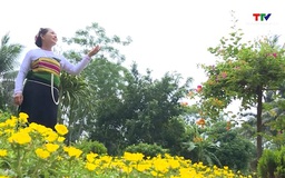 Hoa đất Mường