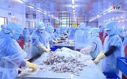 Giá trị hàng hóa thủy sản xuất khẩu đạt hơn 44,6 triệu USD