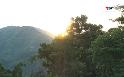 Mùa hè nơi lưng núi