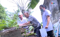 Tăng cường xử phạt vi phạm trong phòng, chống sốt xuất huyết