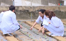 Thiếu nhân lực chất lượng cao - điểm nghẽn của chuyển đổi số
