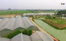 Nông nghiệp Thanh Hóa ước đạt mức tăng trưởng 3,6%