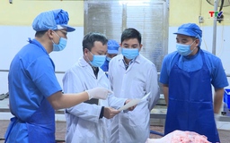 Tăng cường kiểm soát vận chuyển, giết mổ gia súc 