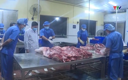 Tăng cường kiểm soát vận chuyển, giết mổ gia súc gia cầm 