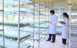 Hỗ trợ phát triển công nghệ cao, công nghệ chiến lược