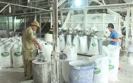 Việt Nam là thị trường cung cấp tinh bột sắn lớn thứ hai cho Trung Quốc 