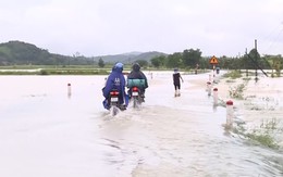 Mưa lớn gây ngập cục bộ tại hai huyện Thạch Thành và Vĩnh Lộc