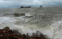 Dự báo sóng lớn trên vùng biển Thanh Hoá ngày 21/10