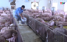 Phân bổ 15.000 lít hoá chất sát trùng để phòng chống bệnh trên đàn gia súc, gia cầm