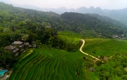 Tiềm năng phát triển du lịch xanh ở Việt Nam