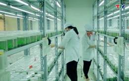 Khuyến khích phát triển khoa học và công nghệ trở thành khâu đột phá