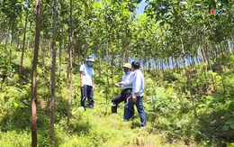 Bảo tồn và phát triển bền vững rừng đặc dụng Khu bảo tồn thiên nhiên Xuân Liên