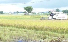 Huyện Triệu Sơn tập trung khắc phục hậu quả ngập lụt do ảnh hưởng của mưa lớn