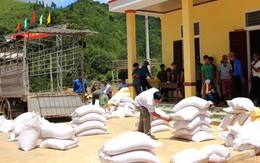 Đã xuất cấp hơn 36.000 tấn gạo cho các địa phương