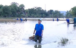 Tuổi trẻ Thanh Hóa xung kích, tình nguyện tham gia khắc phục hậu quả của mưa lũ