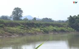 Cần khắc phục tình trạng sạt lở bờ sông trên địa bàn huyện Cẩm Thủy
