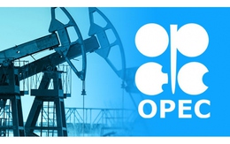Giá dầu thế giới giảm sau khi OPEC tiếp tục hạ dự báo nhu cầu