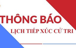 Thông báo tiếp xúc cử tri ngày 17/11/2022