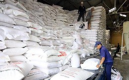 Thanh Hóa cấp gần 715 tấn gạo dự trữ quốc gia hỗ trợ học sinh